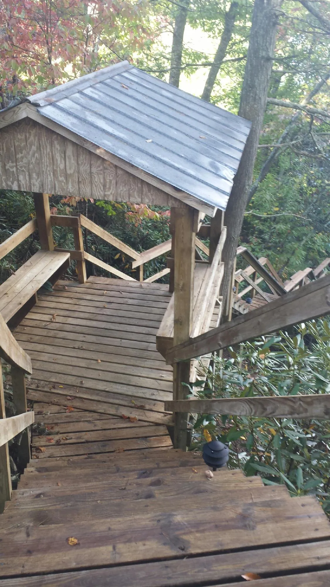 Metal roofed shelter over wooden steps on a wooded walkway — Skylight Repair & Installation work by our crew in Forks